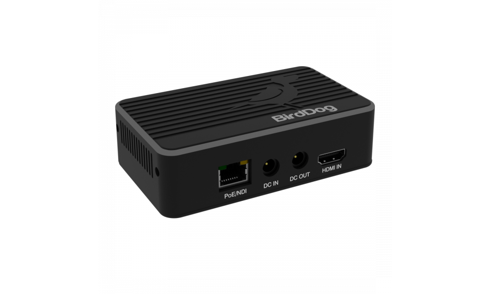 BirdDog Flex 4K IN - HDMI/NDI Encoder