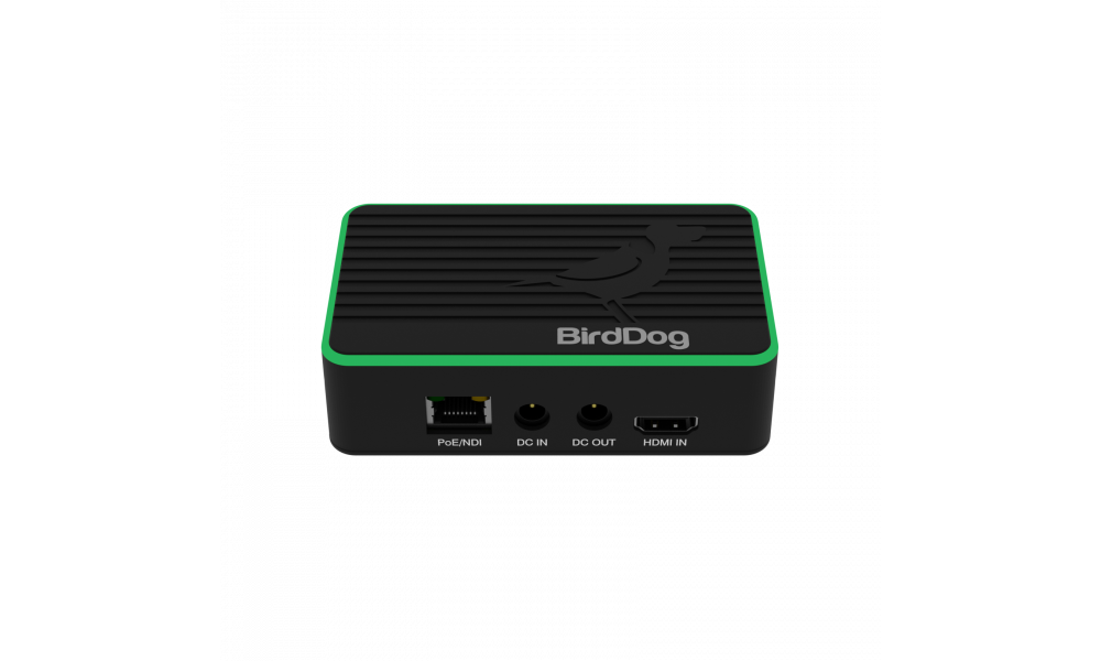 BirdDog Flex 4K IN - HDMI/NDI Encoder