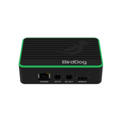 BirdDog Flex 4K IN - HDMI/NDI Encoder