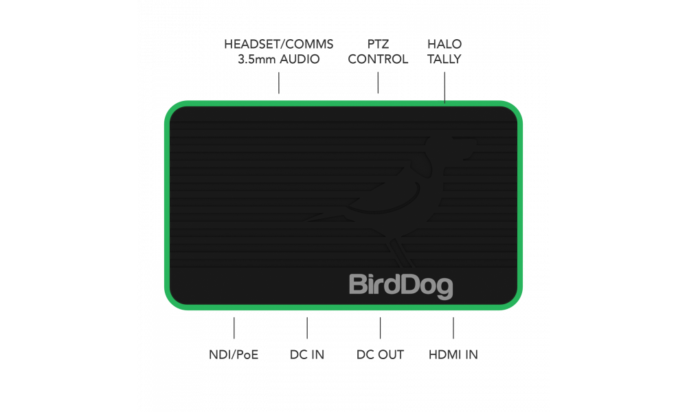 BirdDog Flex 4K IN - HDMI/NDI Encoder