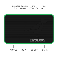 BirdDog Flex 4K IN - HDMI/NDI Encoder