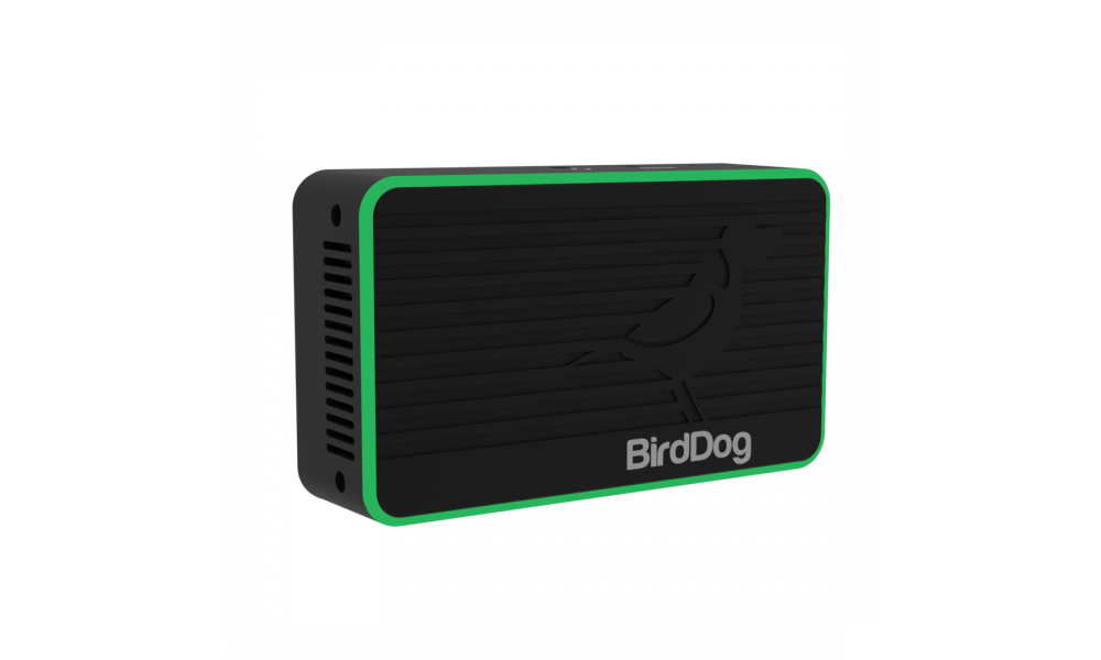 BirdDog Flex 4K IN - HDMI/NDI Encoder