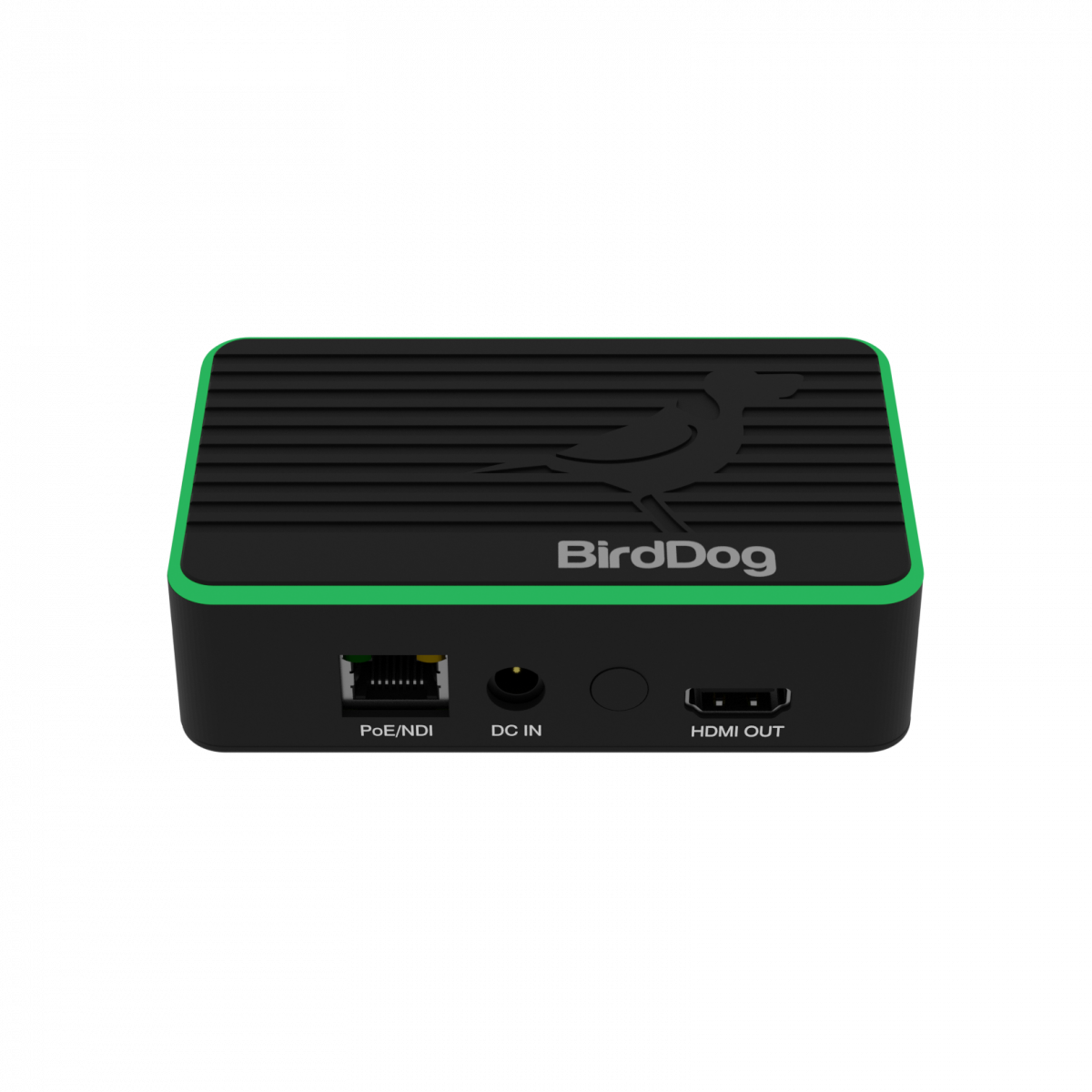 BirdDog Flex 4K OUT - NDI/HDMI Decoder - NDI konvertere