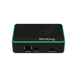 BirdDog Flex 4K OUT - NDI/HDMI Decoder