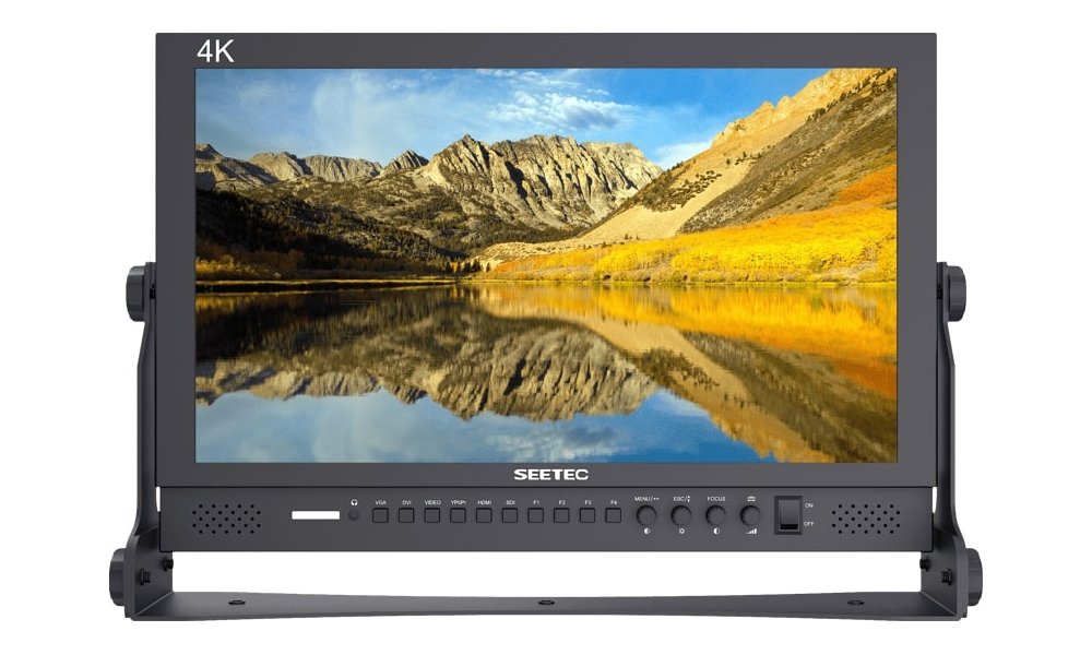 Seetec 17,3" Fuld HD Monitor (P173-9HSD)