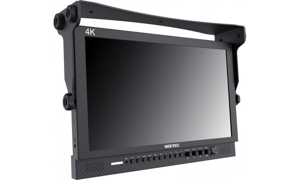 Seetec 17,3" Fuld HD Monitor (P173-9HSD)