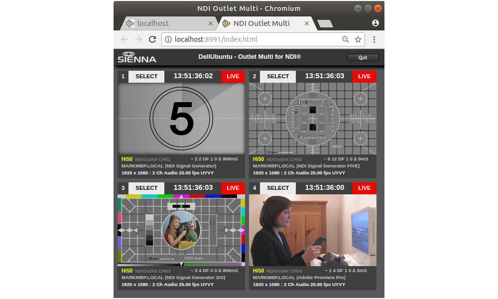 SIENNA NDI Outlet Multi