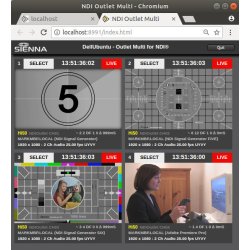 SIENNA NDI Outlet Multi