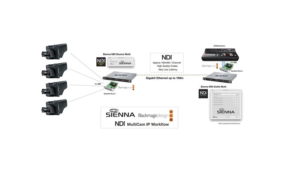 SIENNA NDI Outlet Multi