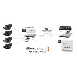 SIENNA NDI Outlet Multi