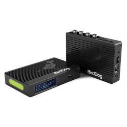 BirdDog 4K QUAD NDI Encoder/Decoder