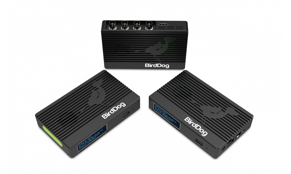 BirdDog 4K QUAD NDI Encoder/Decoder