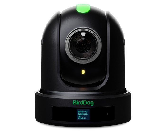 BirdDog P110 - Full NDI PTZ Camera - Black (DEMO)