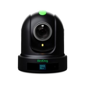 BirdDog P110 - Full NDI PTZ Camera - Black (DEMO)