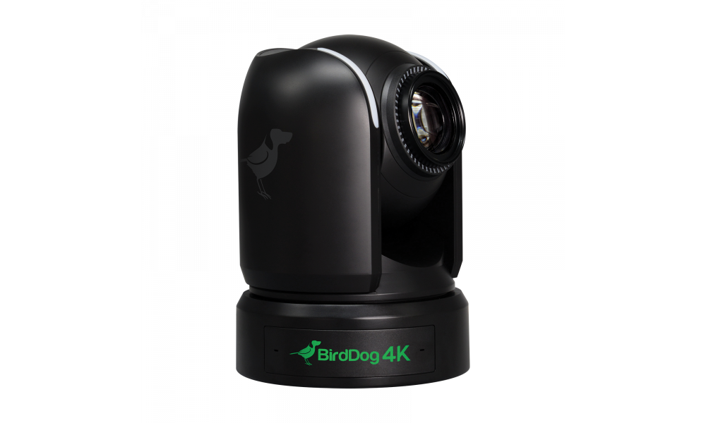 BirdDog P4K - 4K Full NDI PTZ Camera (black, DEMO)