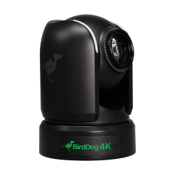 BirdDog P4K - 4K Full NDI PTZ Camera (black, DEMO)