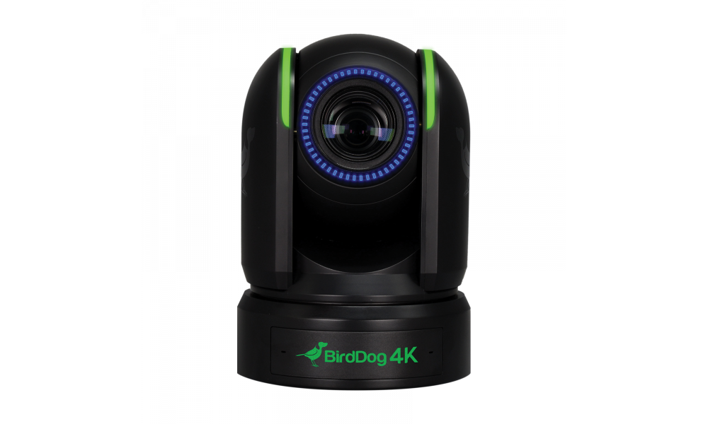 BirdDog P4K - 4K Full NDI PTZ Camera (black, DEMO)