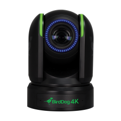 BirdDog P4K - 4K Full NDI PTZ Camera (black, DEMO)