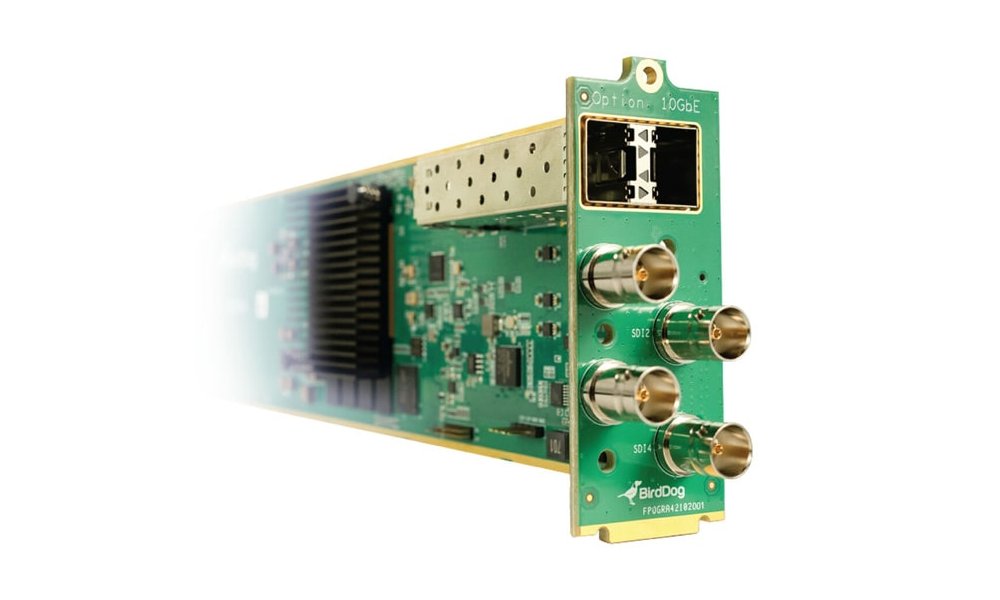 BirdDog OG-4 NDI openGear card