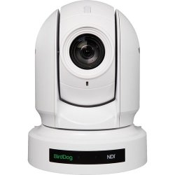 BirdDog Eyes P400 - 4K 10-Bit Fuld NDI PTZ kamera