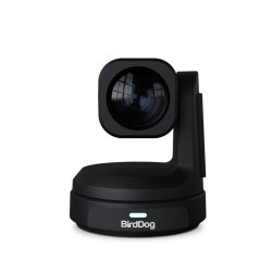 BirdDog MAX - 4K PTZ Camera
