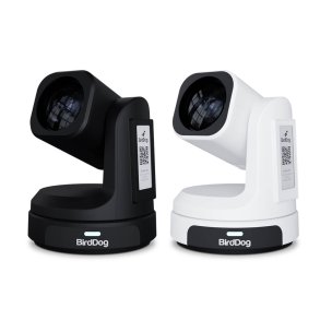 BirdDog MAX - 4K PTZ Camera