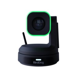 BirdDog X1 - NDI | HX3 PTZ Camera