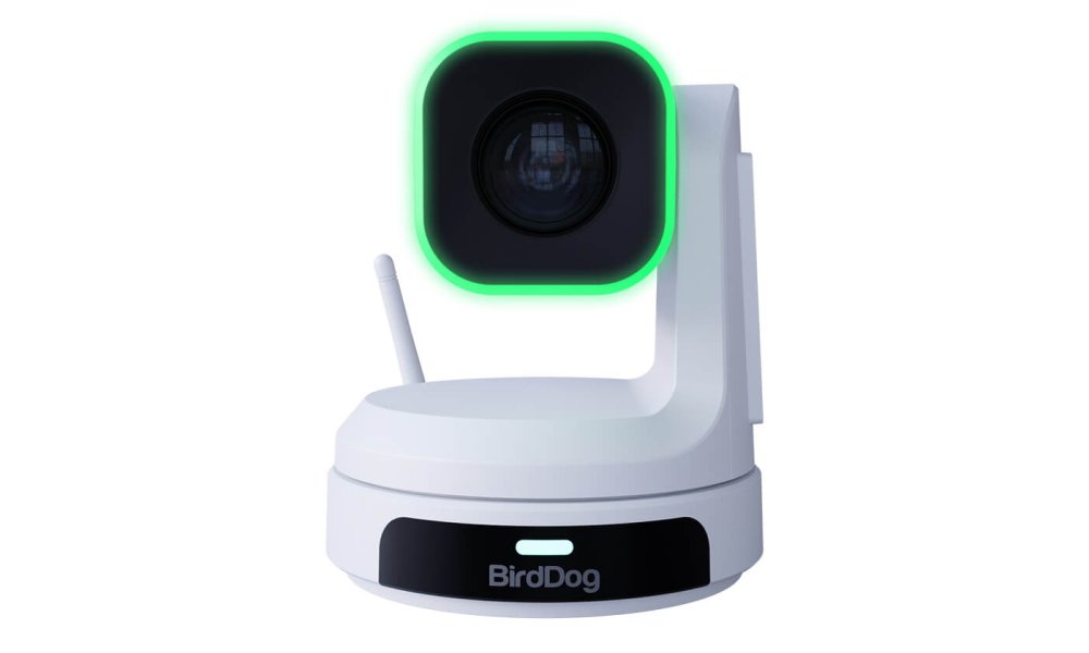 BirdDog X1 - NDI | HX3 PTZ Camera
