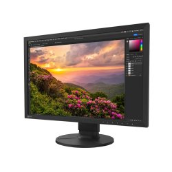 EIZO ColorEdge 24" IPS Monitor (CS2400S)