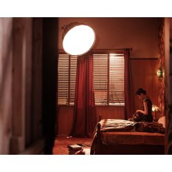 NanLite Forza 300B II Bi-color LED Spotlight