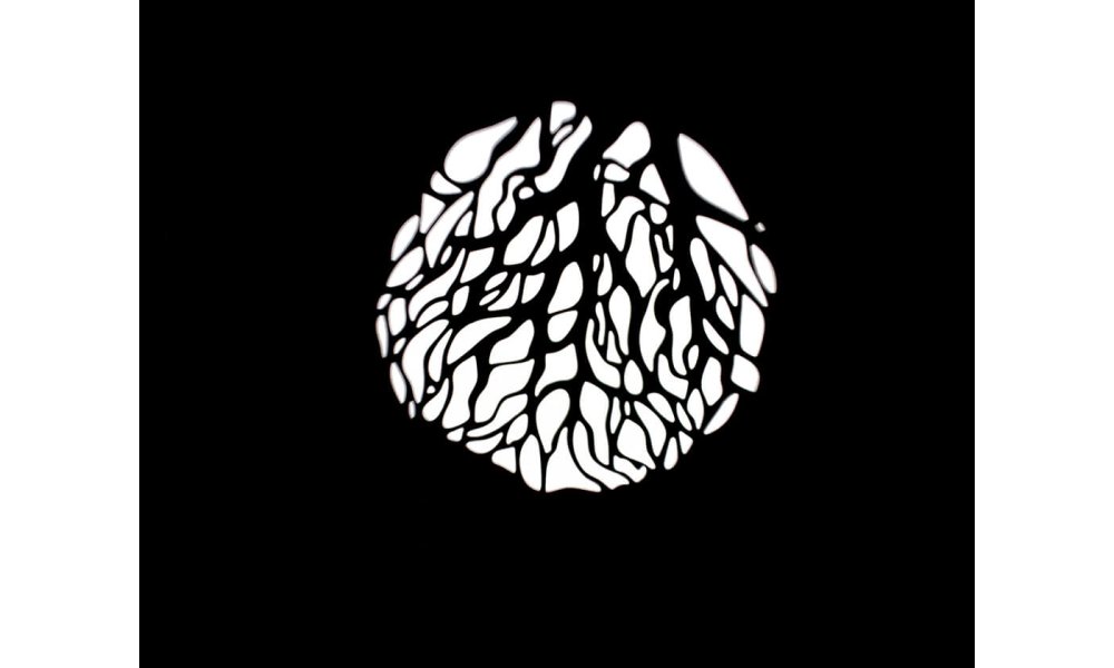 Nanlite Projector Mount for Bowens mount w/19 lens