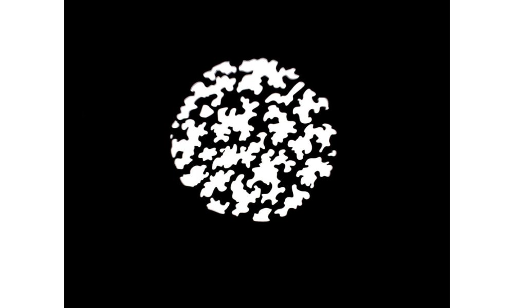 Nanlite Projector Mount for Bowens mount w/19 lens