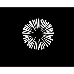 Nanlite Projector Mount for Bowens mount w/19 lens