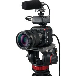 Panasonic Lumix DC-BS1H (DEMO)